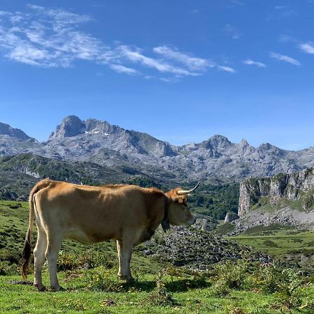 Appartamento Telena Onís Esterno foto