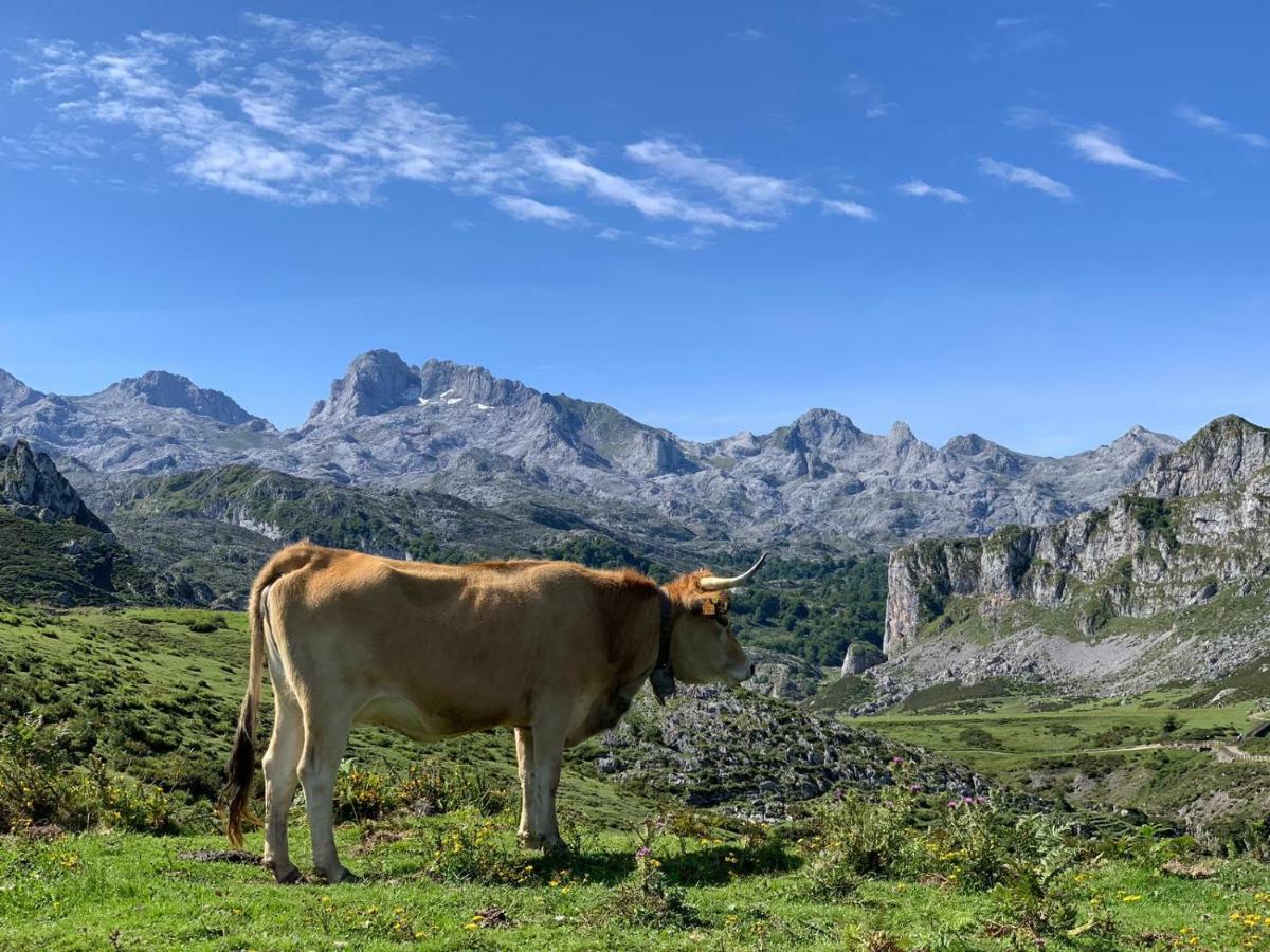 Appartamento Telena Onís Esterno foto
